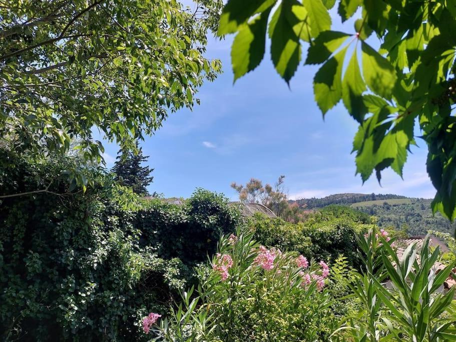 Vue De Rennes-Le-Chateau Couiza Exterior photo